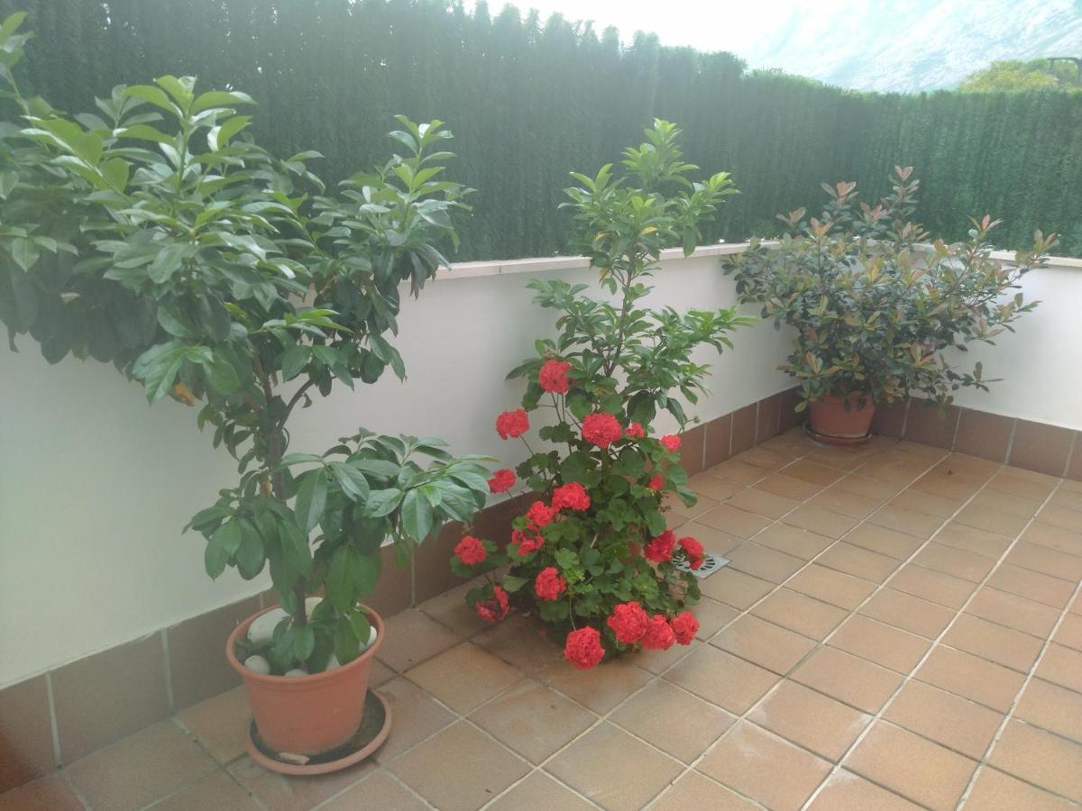 Apartamentos Mar Y Ola 1 Posada De Llanes エクステリア 写真